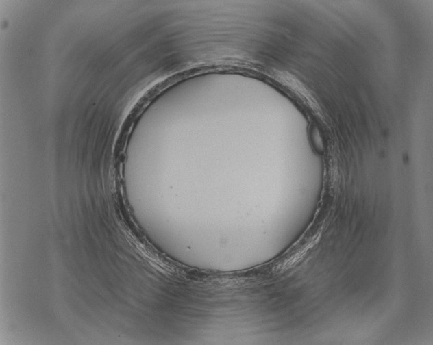 X0000075810924200610151426