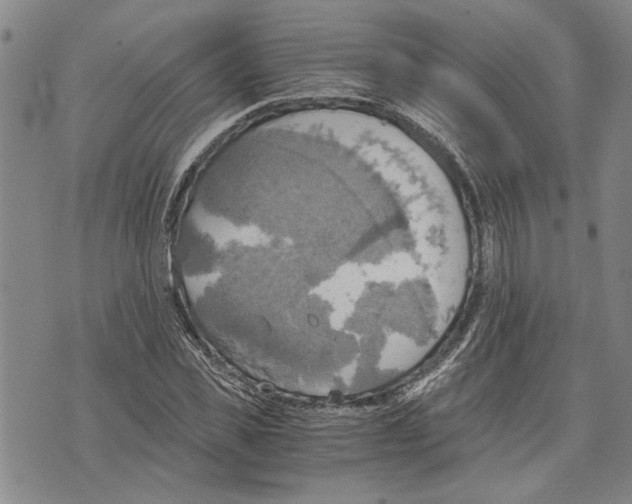 X0000075810925200610151426