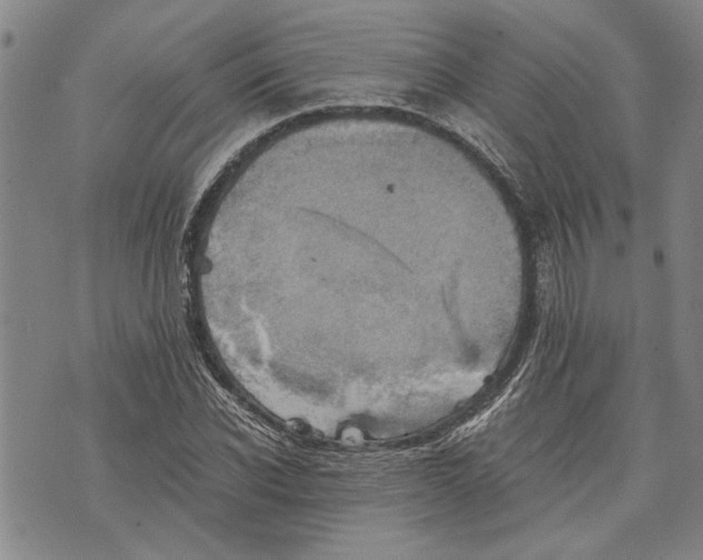 X0000075810926200610151426