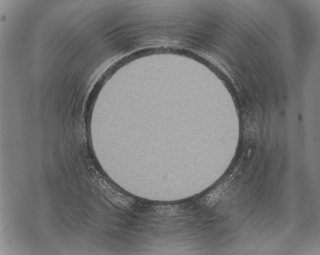 X0000075810927200610151426