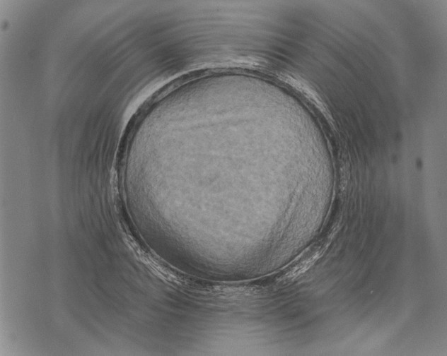 X0000075810928200610151426