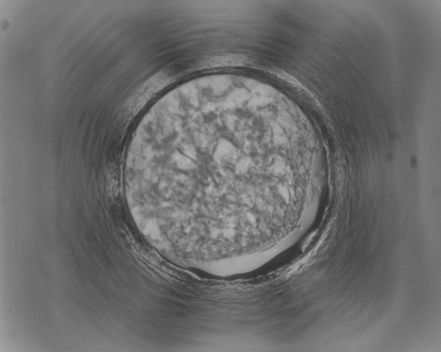 X0000075810929200610151426