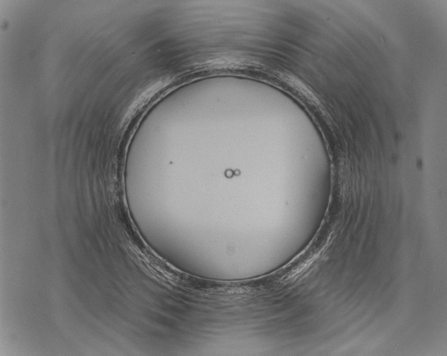 X0000075810930200610151426