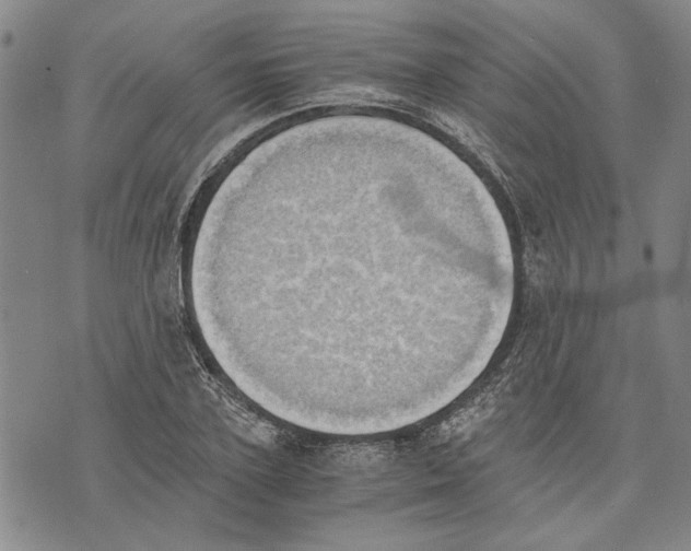 X0000075810931200610151426