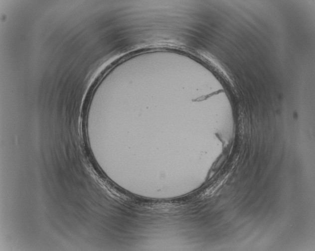 X0000075810932200610151426