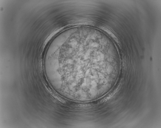 X0000075810933200610151426