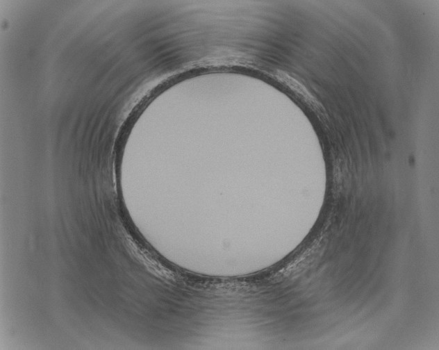 X0000075810934200610151426