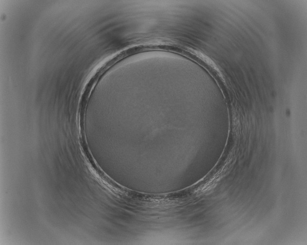 X0000075810935200610151426