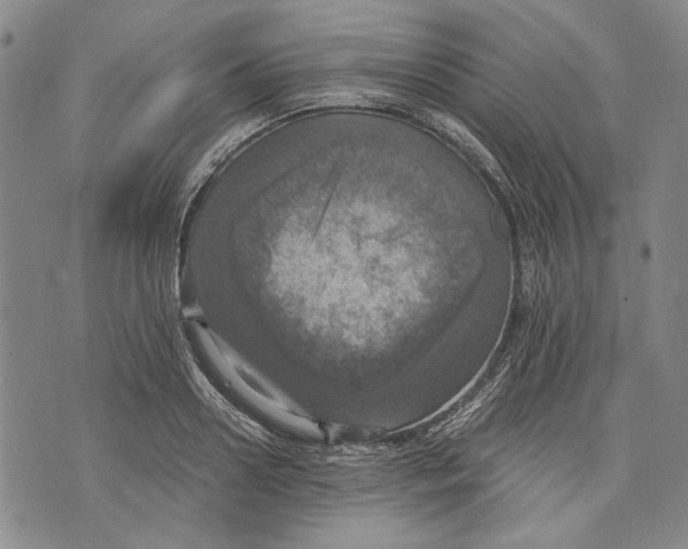 X0000075810938200610151426