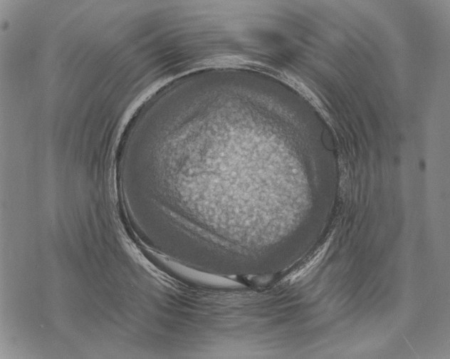 X0000075810939200610151426