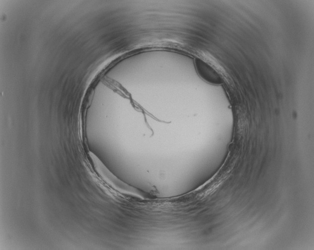 X0000075810940200610151426