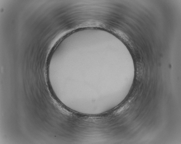 X0000075810942200610151426