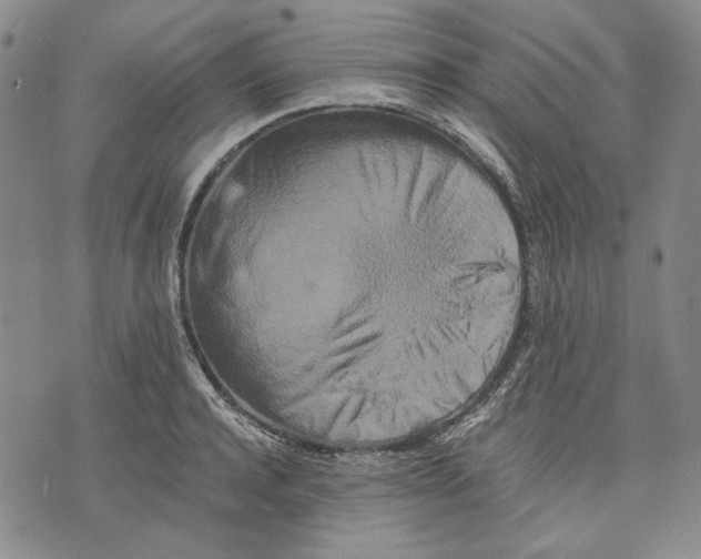 X0000075810944200610151426