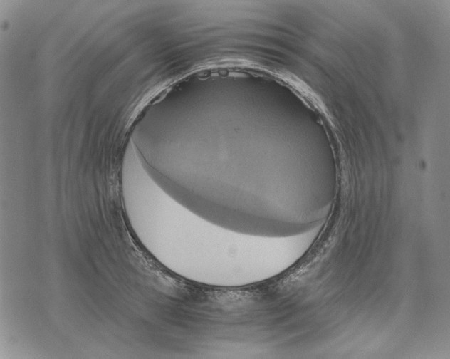 X0000075810945200610151426