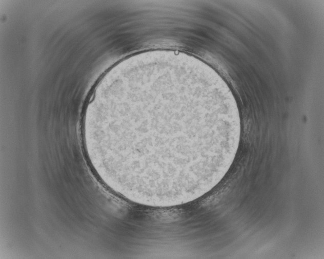 X0000075810947200610151426