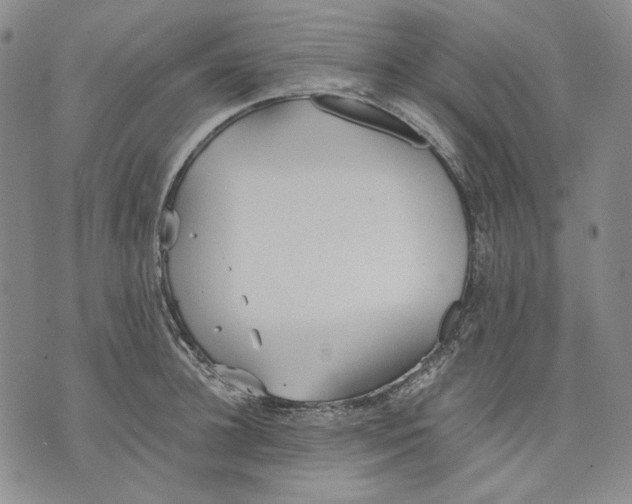 X0000075810948200610151426