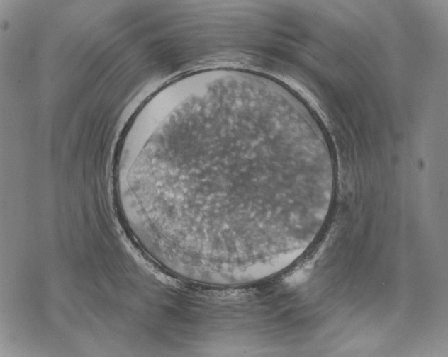 X0000075810949200610151426