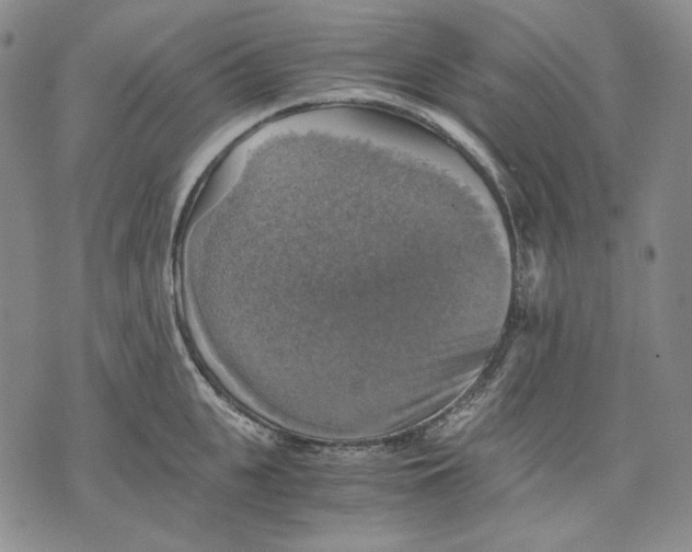 X0000075810951200610151426