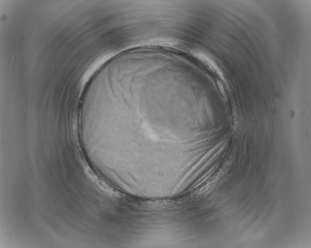 X0000075810952200610151426