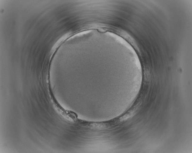 X0000075810954200610151426