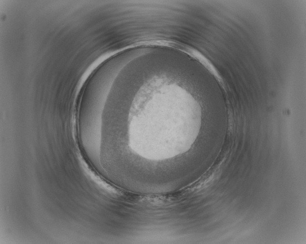 X0000075810955200610151426