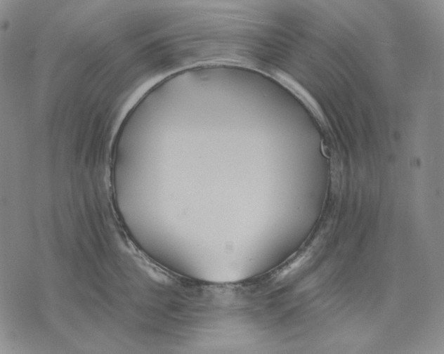 X0000075810956200610151426