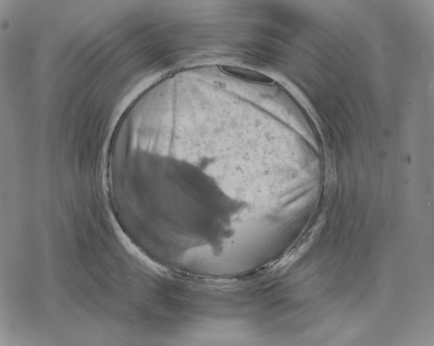 X0000075810957200610151426