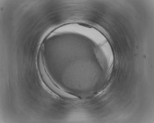 X0000075810958200610151426