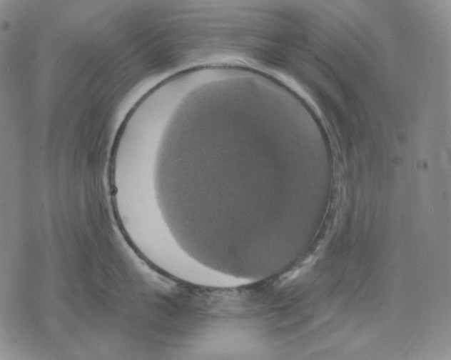 X0000075810959200610151426