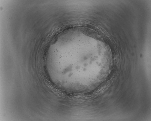 X0000075810961200610151426