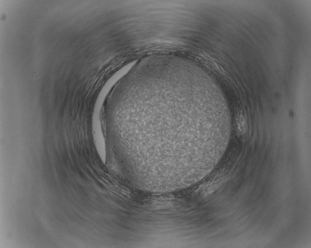 X0000075810964200610151426