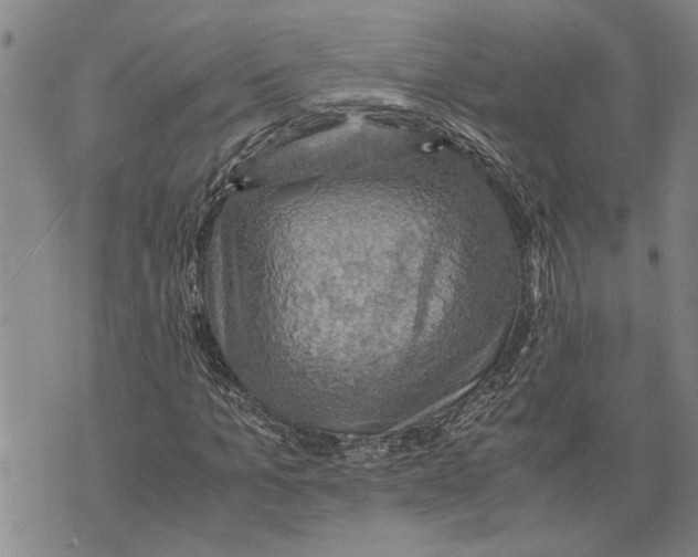 X0000075810965200610151426