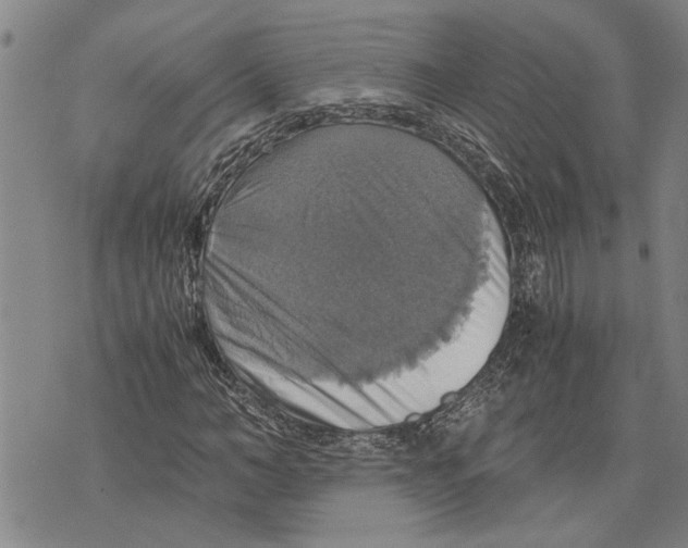 X0000075810966200610151426