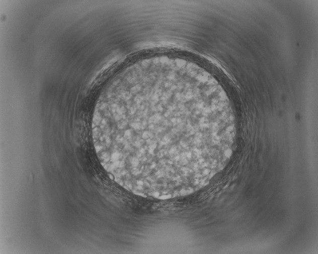 X0000075810967200610151426