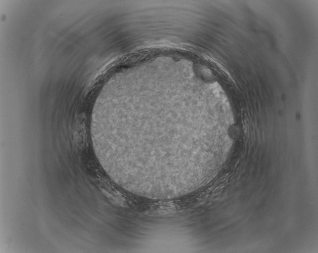 X0000075810968200610151426