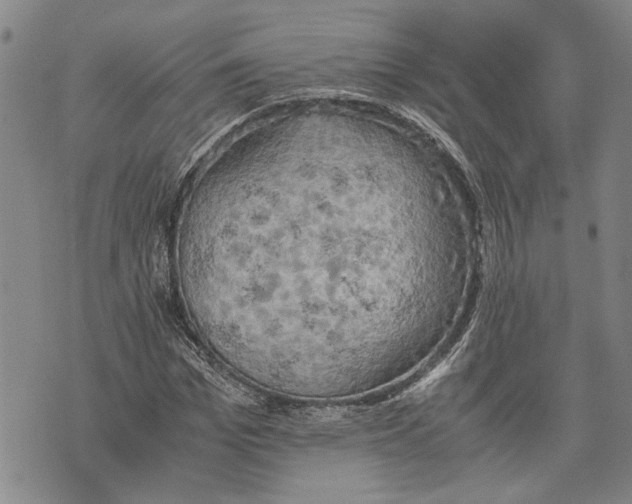 X0000075810969200610151426