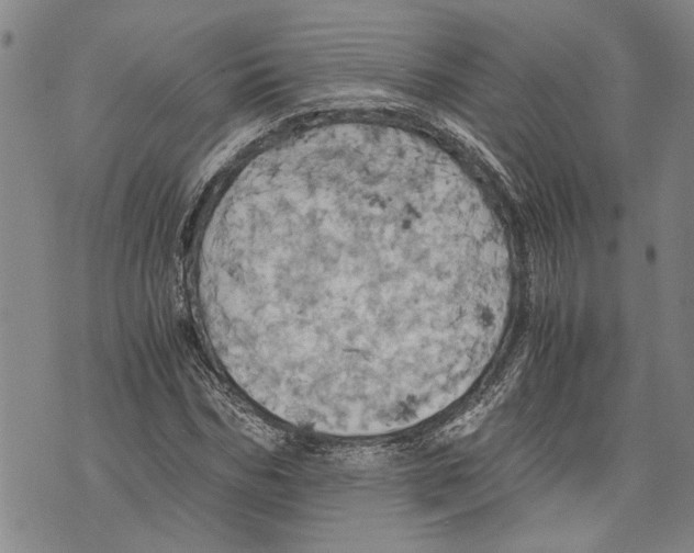 X0000075810970200610151426