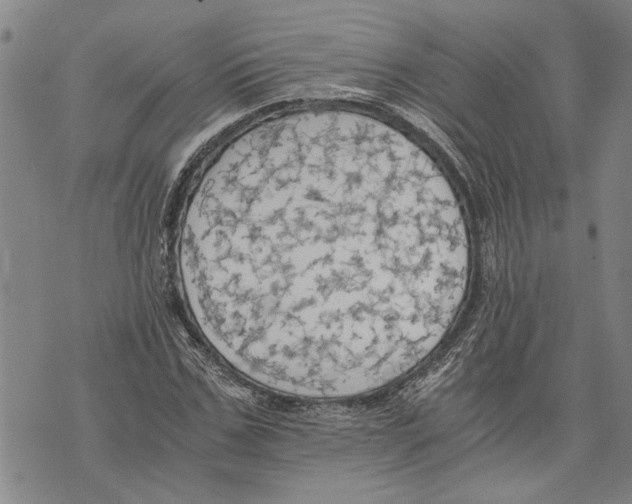 X0000075810971200610151426