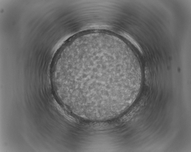 X0000075810972200610151426