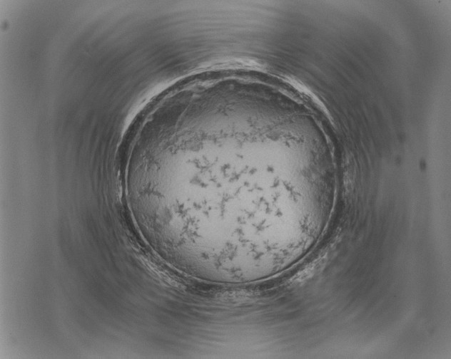 X0000075810973200610151425