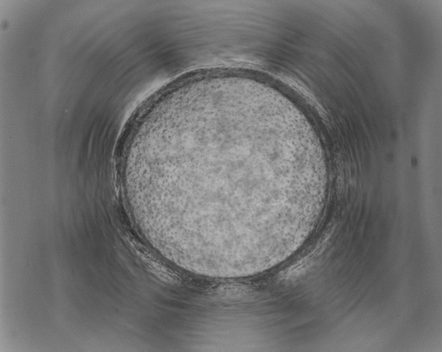 X0000075810974200610151425