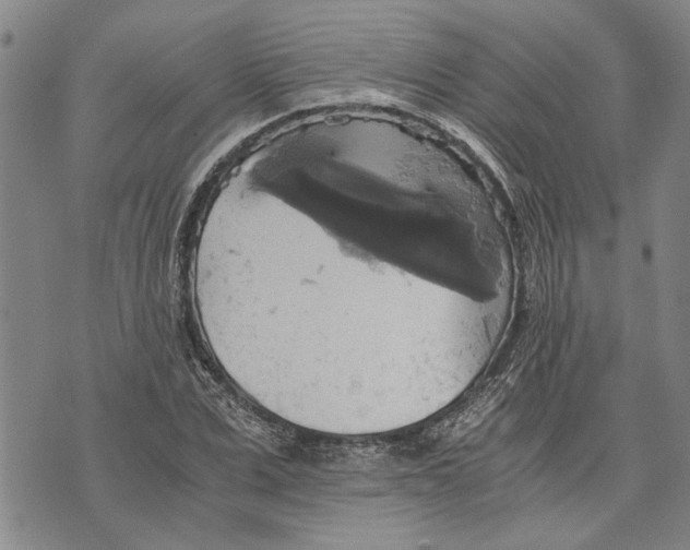 X0000075810975200610151425