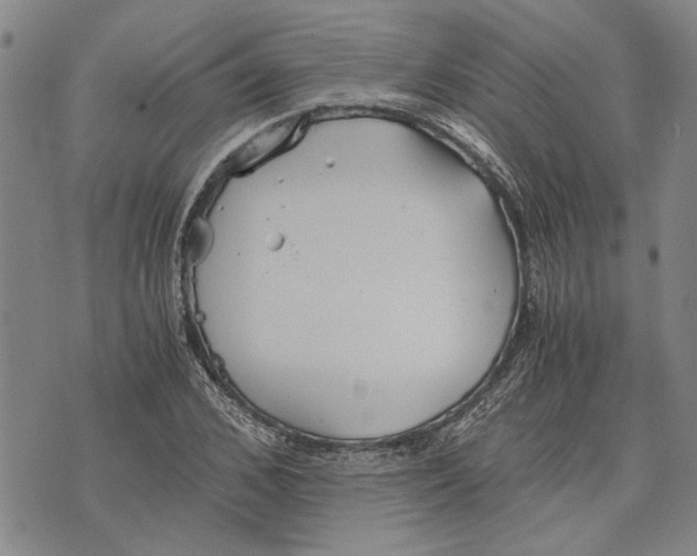 X0000075810976200610151425