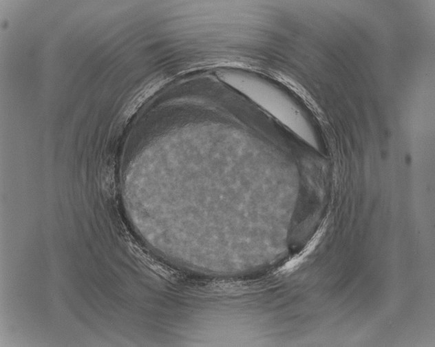 X0000075810977200610151425