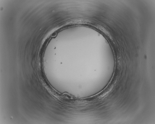 X0000075810981200610151425