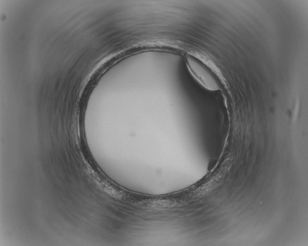 X0000075810984200610151425