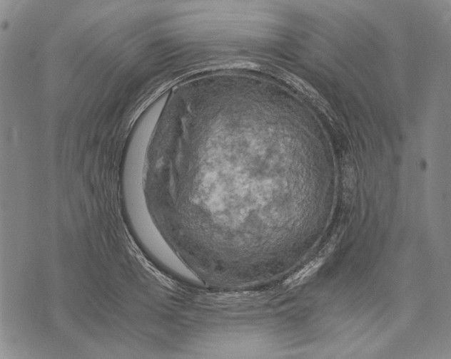 X0000075810985200610151425