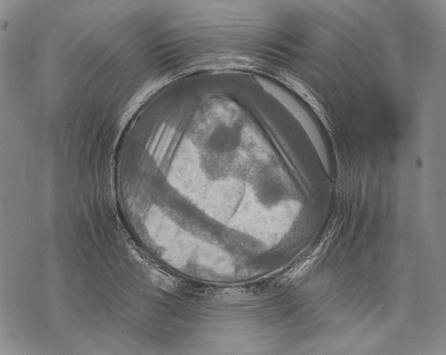 X0000075810986200610151425