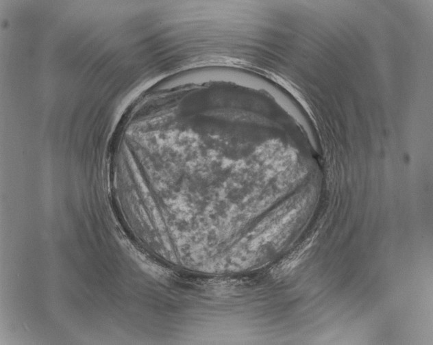 X0000075810987200610151425