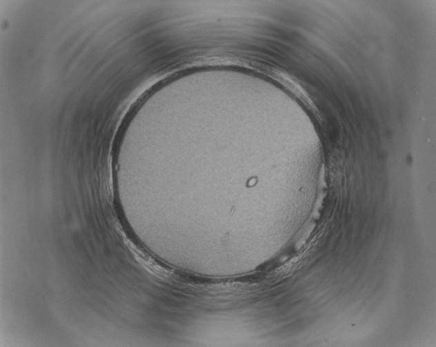 X0000075810988200610151425